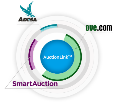 Auctionlink Details Page | GlobalCarExchange